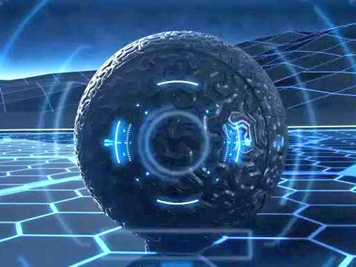 珠海白蚁防治-珠海杀虫|珠海专业杀虫灭鼠|珠海专业消杀除四害-珠海格兰云天清洁灭虫有限公司简介